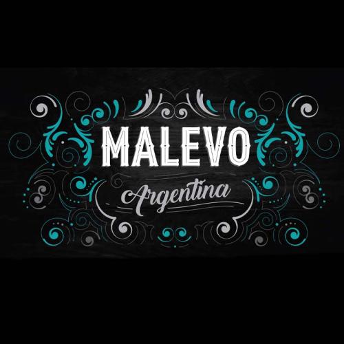 MALEVO_LOGO_SITE